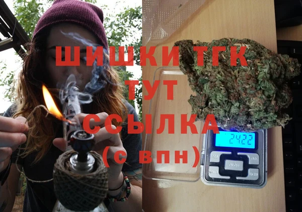 тгк Володарск