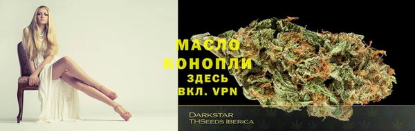 тгк Володарск