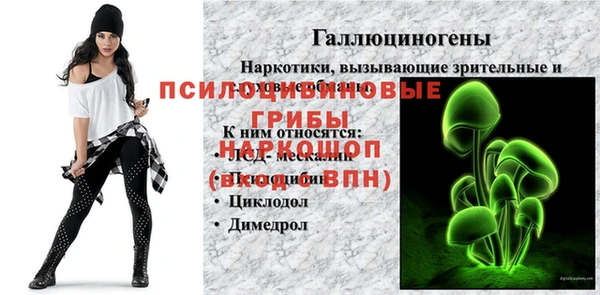 тгк Володарск