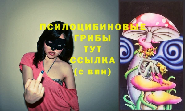 тгк Володарск