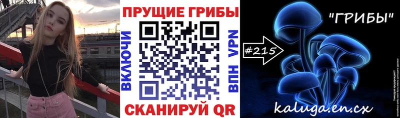 Псилоцибиновые грибы Psilocybe как найти закладки Сретенск